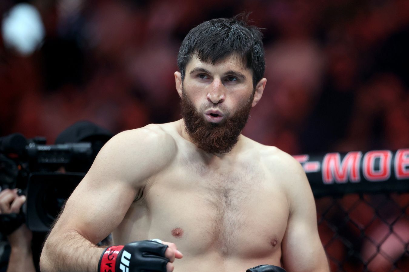 magomed ankalaev podtverdil sroki sleduyuschego boya v ufc 1779698453315866125