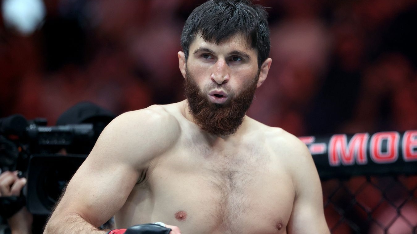 menedzher ankalaeva nazval sroki sleduyuschego boya rossiyanina v ufc 17648419301770380804